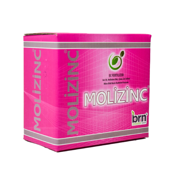 MOLİZİNC 