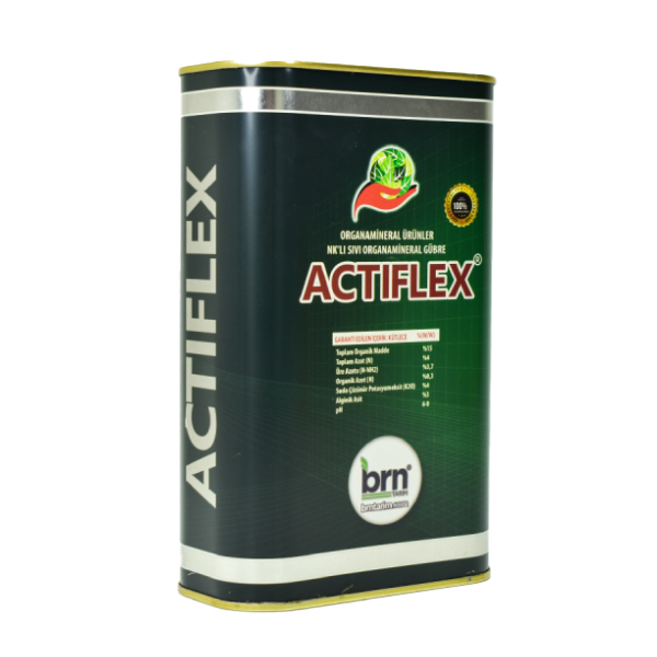 ACTİFLEX 