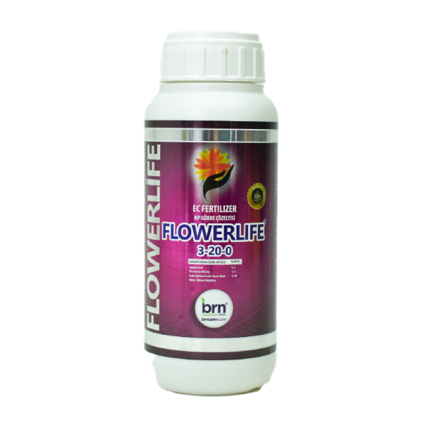 FLOWERLİFE 