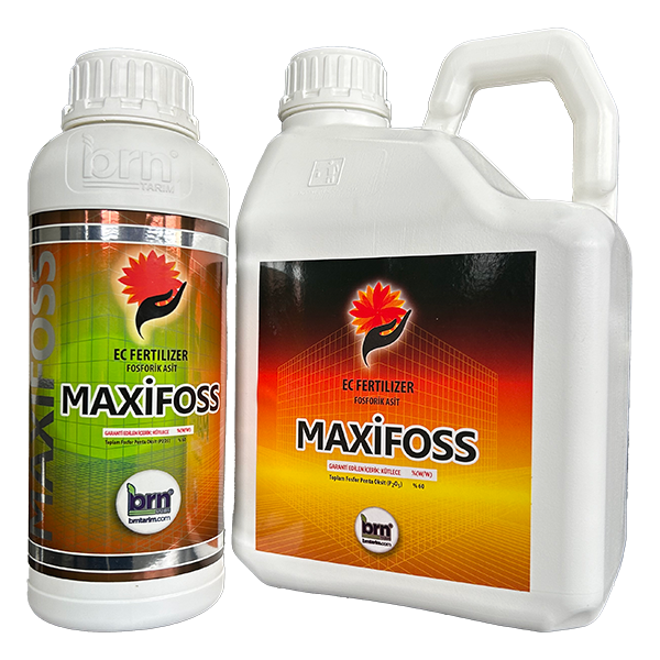 MAXİFOSS